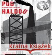 Pod haldou Vladimír Zlý 9788025746554 Argo - książka