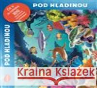 Pod hladinou - Čti a nalepuj, kniha se samolepkami Raffaella Cosco 9788076772694 Ella & Max - książka