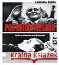 Pod křídly Mosadu Ladislav Šalda 9788087624814 AOS Publishing - książka