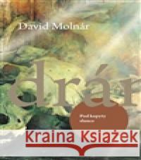 Pod kopyty slunce David Molnár 9788027005895  - książka