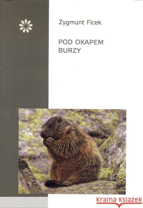 Pod okapem burzy Ficek Zygmunt 9788394687458 Stowarzyszenie Pisarzy Polskich - książka