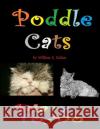 Poddle Cats: Diary To-Do 2019 William E. Cullen 9781790461349 Independently Published