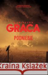 Podniebie Agnieszka Graca 9788383801896 Agora - książka