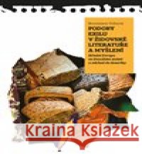 Podoby exilu v židovské literatuře a myšlení Bronislava Volková 9788074655012 Pavel Mervart - książka