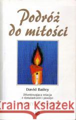 Podróż do miłości David Bailey 9788371910517 Limbus - książka