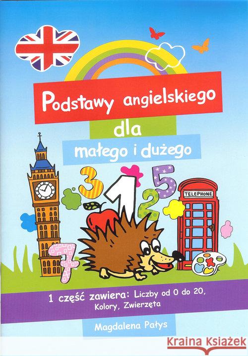 Podstawy angielskiego dla małego i dużego Pałys Magdalena 9788364924033 Germaniac - książka