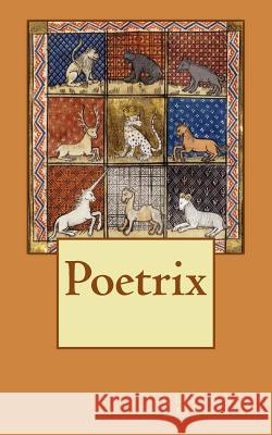 Poetrix: The lost works of Pi Kielty Mueller, Jennifer 9781508734796 Createspace - książka