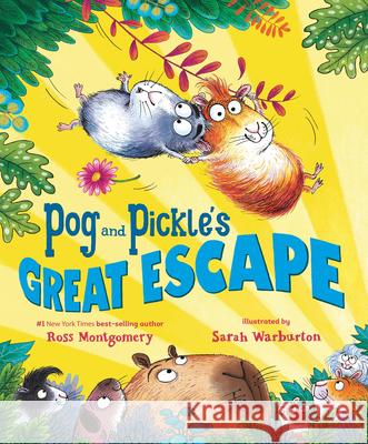 Pog and Pickle's Great Escape Ross Montgomery Sarah Warburton 9781536251968 Candlewick Press (MA) - książka