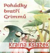 Pohádky bratří Grimmů Francesca Rossi 9788020617316 Naše vojsko - książka