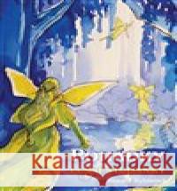 Pohádky lesní studánky Renata Rybínová 9788075685179 powerprint - książka