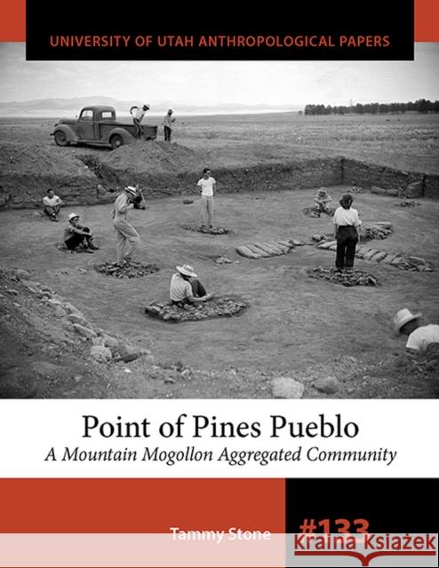 Point of Pines Pueblo, Volume 133: A Mountain Mogollon Aggregated Community Stone, Tammy 9781607817475 University of Utah Press - książka