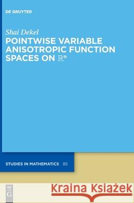 Pointwise Variable Anisotropic Function Spaces on ℝⁿ Dekel, Shai 9783110761764 de Gruyter - książka