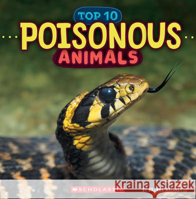 Poisonous Animals (Wild World: Top 10) Brenna Maloney 9781546177456 C. Press/F. Watts Trade - książka