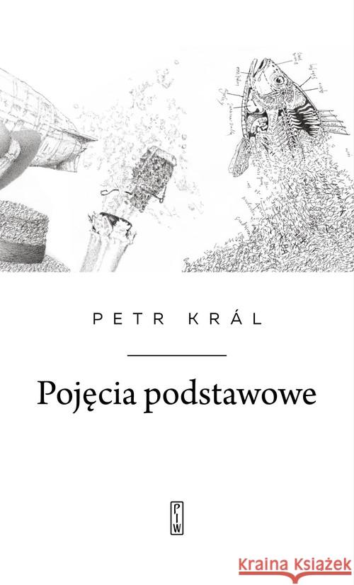 Pojęcia podstawowe Král Petr 9788381960571 PIW - książka