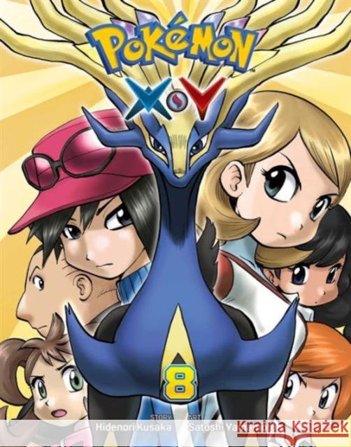 Pokemon X*Y, Vol. 8 Hidenori Kusaka 9781421587790 Viz Media - książka