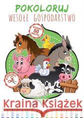 Pokoloruj Wesołe Gospodarstwo opracowanie zbiorowe 9788379324651 Fenix - książka