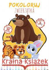 Pokoloruj Zwierzątka opracowanie zbiorowe 9788379324699 Fenix - książka