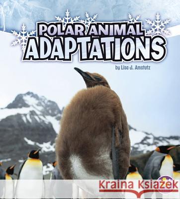 Polar Animal Adaptations Lisa J. Amstutz 9781429670319 Capstone Press - książka