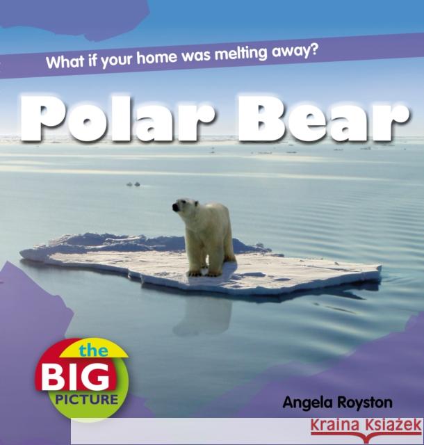 Polar Bear Anita Ganeri 9781408131558 Bloomsbury Publishing PLC - książka