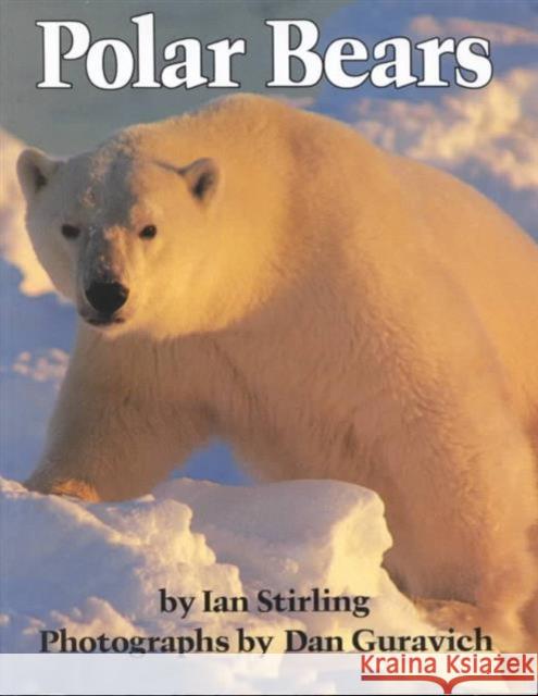 Polar Bears Ian Sirling Ian Stirling Dan E. Guravich 9780472081080 University of Michigan Press - książka