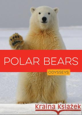 Polar Bears Rachael Hanel 9781682778272 Creative Paperbacks - książka