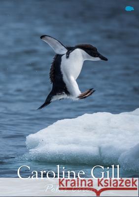 Polar Corona Caroline Gill 9781916830264 Hedgehog Poetry Press - książka