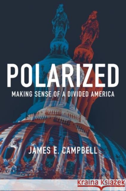 Polarized: Making Sense of a Divided America James E. Campbell 9780691172163 Princeton University Press - książka