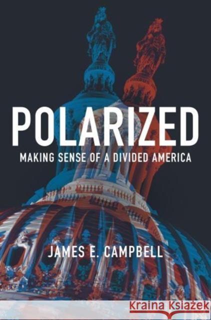Polarized: Making Sense of a Divided America Campbell, James E. 9780691180861 Princeton University Press - książka