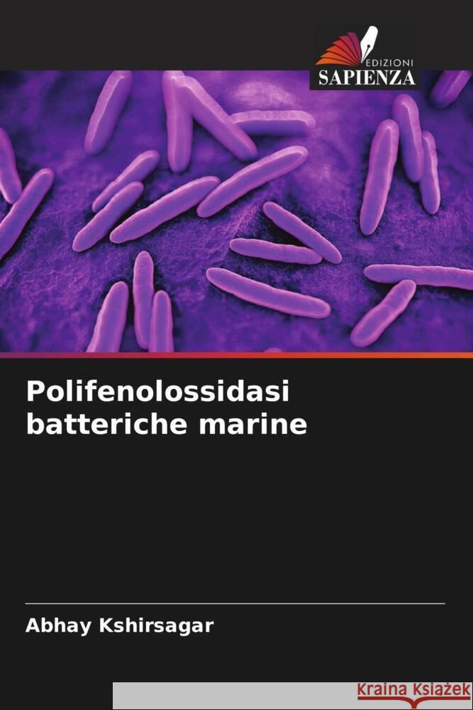 Polifenolossidasi batteriche marine Kshirsagar, Abhay 9786208211493 Edizioni Sapienza - książka