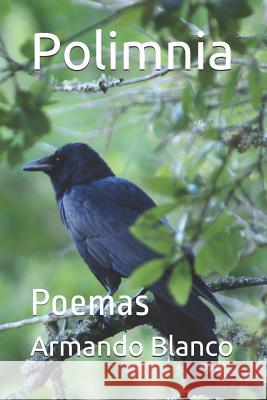 Polimnia: Poemas Maria Angeles d Maggie Duran Paaredes Armando Blanco Blanco 9781717929730 Independently Published - książka