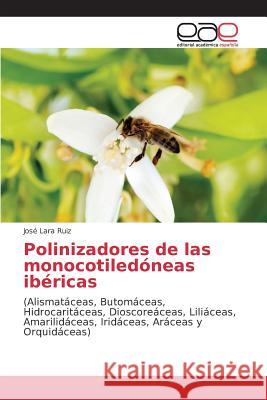 Polinizadores de las monocotiledóneas ibéricas Lara Ruiz José 9783639731354 Editorial Academica Espanola - książka