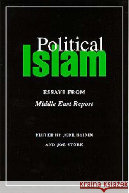 Political Islam  9781860640988 Bloomsbury Publishing PLC - książka