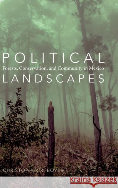 Political Landscapes: Forests, Conservation, and Community in Mexico Christopher R. Boyer 9780822358183 Duke University Press - książka