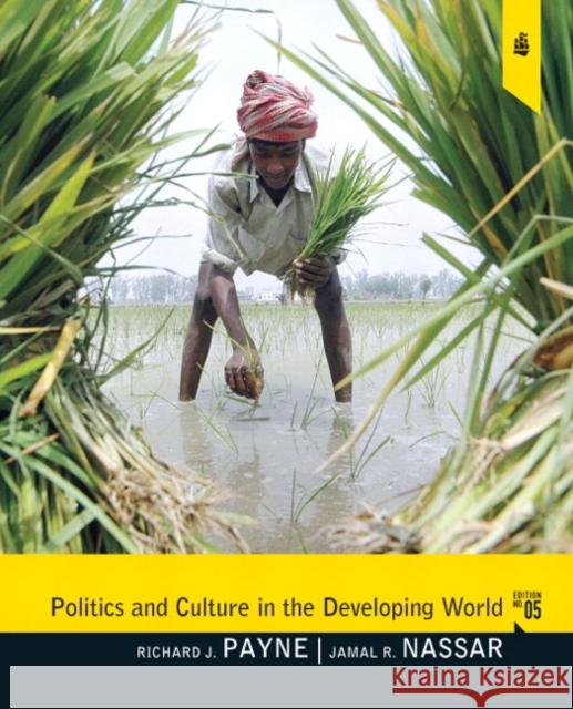 Politics and Culture in the Developing World Richard J. Payne 9780205075911 Longman Publishing Group - książka