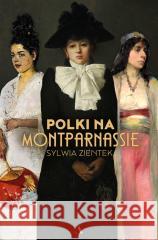 Polki na Montparnassie Sylwia Zientek 9788383800912 Agora - książka