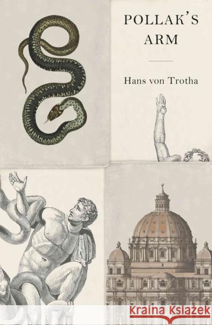 Pollak's Arm Hans Von Trotha 9781954404007 New Vessel Press - książka