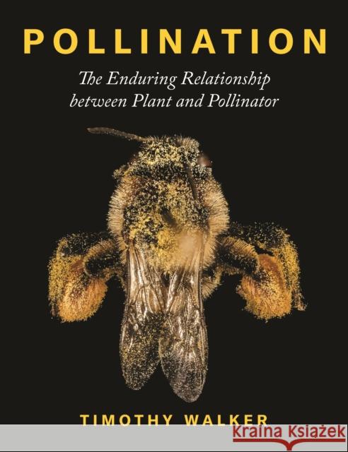 Pollination: The Enduring Relationship Between Plant and Pollinator Timothy Walker 9780691203751 Princeton University Press - książka