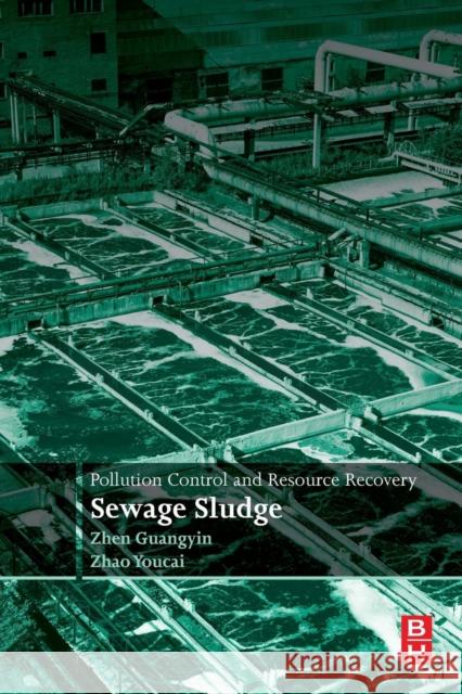 Pollution Control and Resource Recovery: Sewage Sludge Youcai, Zhao 9780128116395 Butterworth-Heinemann - książka