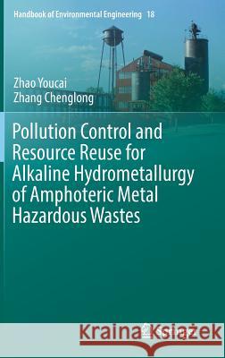 Pollution Control and Resource Reuse for Alkaline Hydrometallurgy of Amphoteric Metal Hazardous Wastes Youcai Zhao Chenglong Zhang 9783319551579 Springer - książka