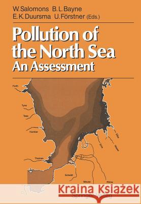 Pollution of the North Sea: An Assessment Salomons, Wim 9783642737114 Springer - książka