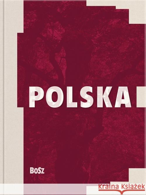 Polska Kleiber Michał Samsonowicz Henryk Ziejka Franciszek 9788375761894 Bosz - książka