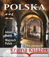 Polska. Dwanaście wieków Adam Bujak, Wojciech Polak 9788375533743 Biały Kruk - książka