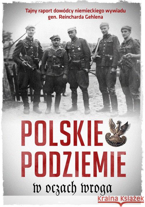 Polskie podziemie w oczach wroga w.2  9788380435391 M - książka