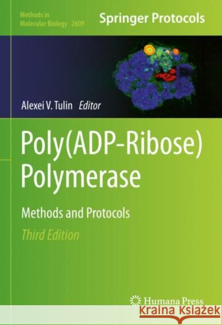 Poly(ADP-Ribose) Polymerase: Methods and Protocols Alexei V. Tulin 9781071628904 Humana - książka