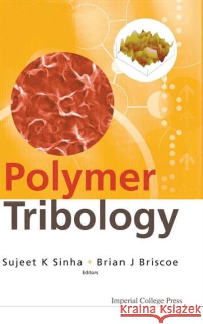 Polymer Tribology Sujeet K. Sinha                          Brian J. Briscoe 9781848162020 Imperial College Press - książka