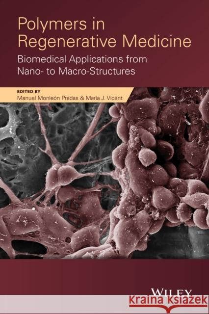 Polymers in Regenerative Medicine: Biomedical Applications from Nano- To Macro-Structures Manuel Monleo Maria J. Vicent 9780470596388 John Wiley & Sons - książka