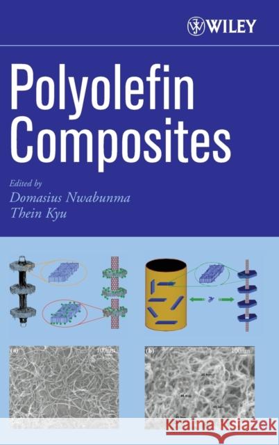 Polyolefin Composites Domasius Nwabunma Domasius Nwabunma Thein Kyu 9780471790570 Wiley-Interscience - książka