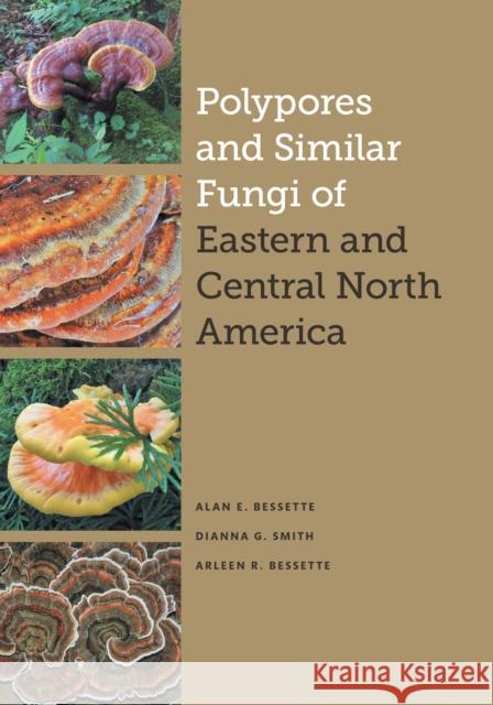 Polypores and Similar Fungi of Eastern and Central North America Alan E. Bessette Dianna Smith Arleen R. Bessette 9781477322727 University of Texas Press - książka