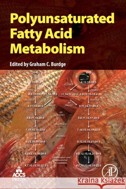 Polyunsaturated Fatty Acid Metabolism Graham C. Burdge 9780128112304 Academic Press and Aocs Press - książka