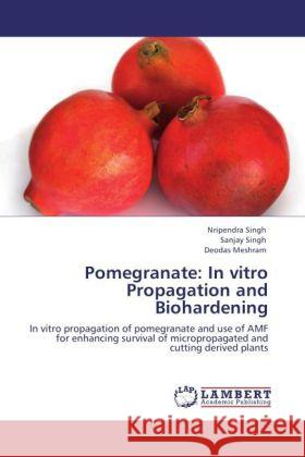 Pomegranate: In vitro Propagation and Biohardening Singh, Nripendra, Singh, Sanjay, Meshram, Deodas 9783847338253 LAP Lambert Academic Publishing - książka